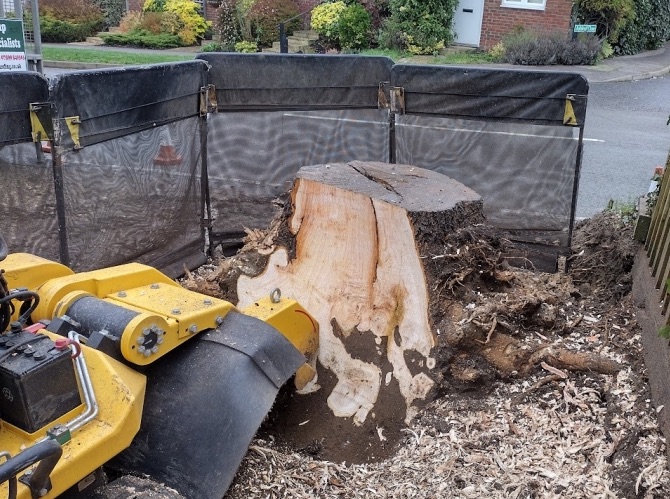 Stump Grinding in Stevenage